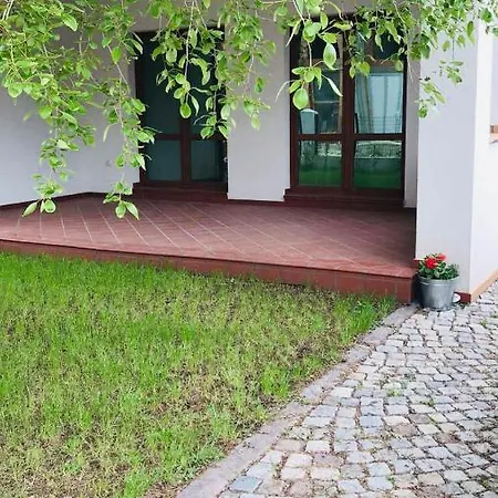 Oasis Lozenets